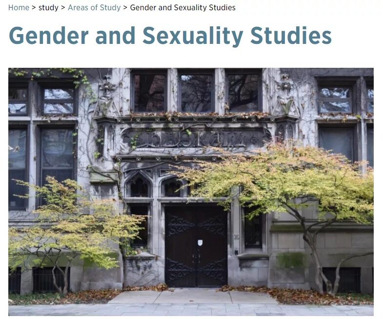 芝加哥大学性别与性研究
