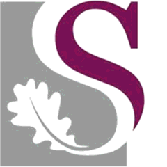 斯坦陵布什大学 logo
