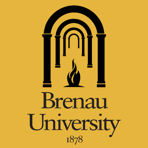 布伦瑙大学 logo