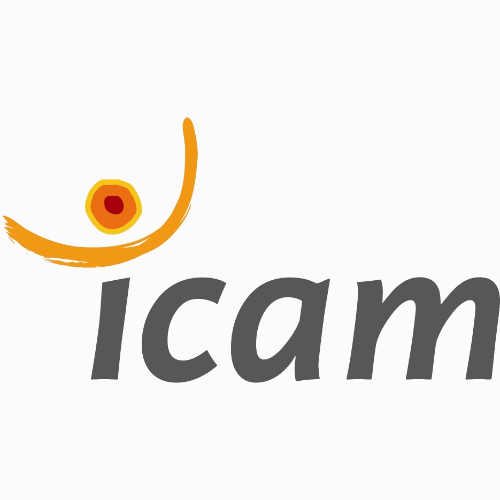 Icam - Institut Catholique d'Arts et Métiers logo
